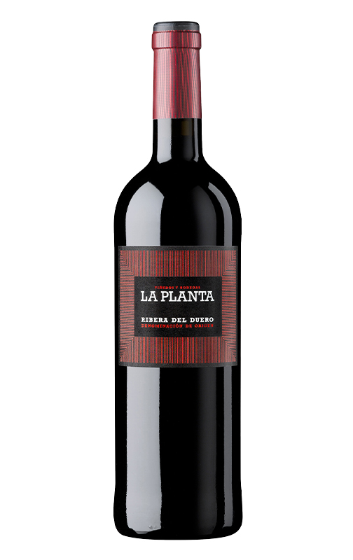  La Planta Botella